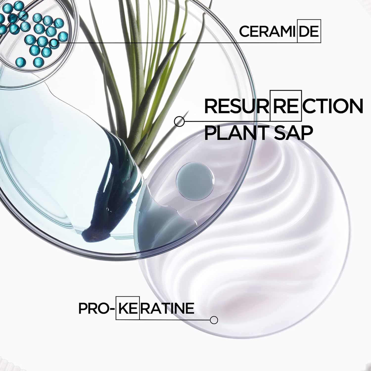Kérastase Resistance Force Architecte Shampoo & Ciment Anti-Usure Conditioner Set